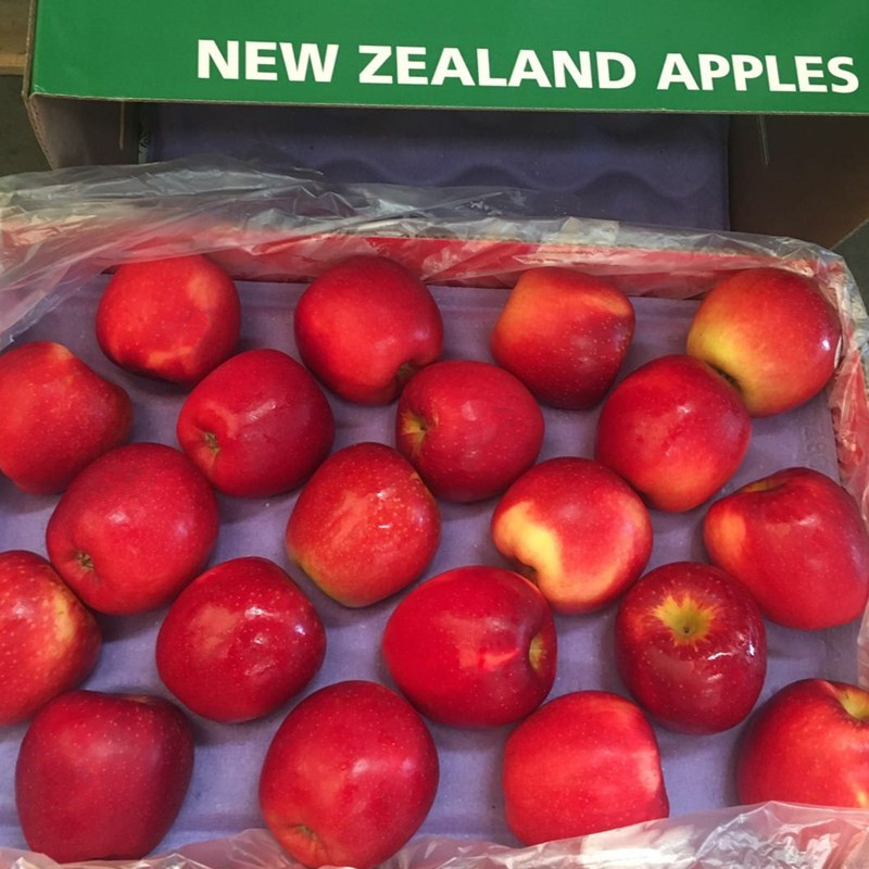 新西兰皇后玫瑰3297/4122红玫瑰queen苹果进口皇后苹果脆甜新鲜10个大