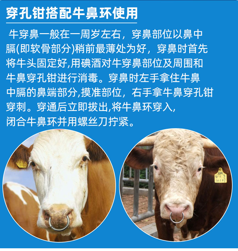 牛鼻穿孔钳牛鼻环牛鼻栓自动牛鼻夹子牛鼻子牵引扣牛保定器牛鼻圈碳钢