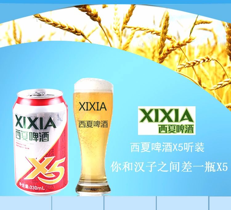 西夏啤酒夺命x5啤酒330ml12瓶装听装啤酒宁夏啤酒西北汉子啤酒330ml12