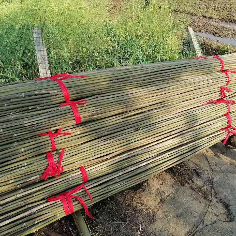 黄瓜架用竹杆批发销售竹竿搭架细竹条豆角黄瓜西红柿瓜果蔬菜爬藤架