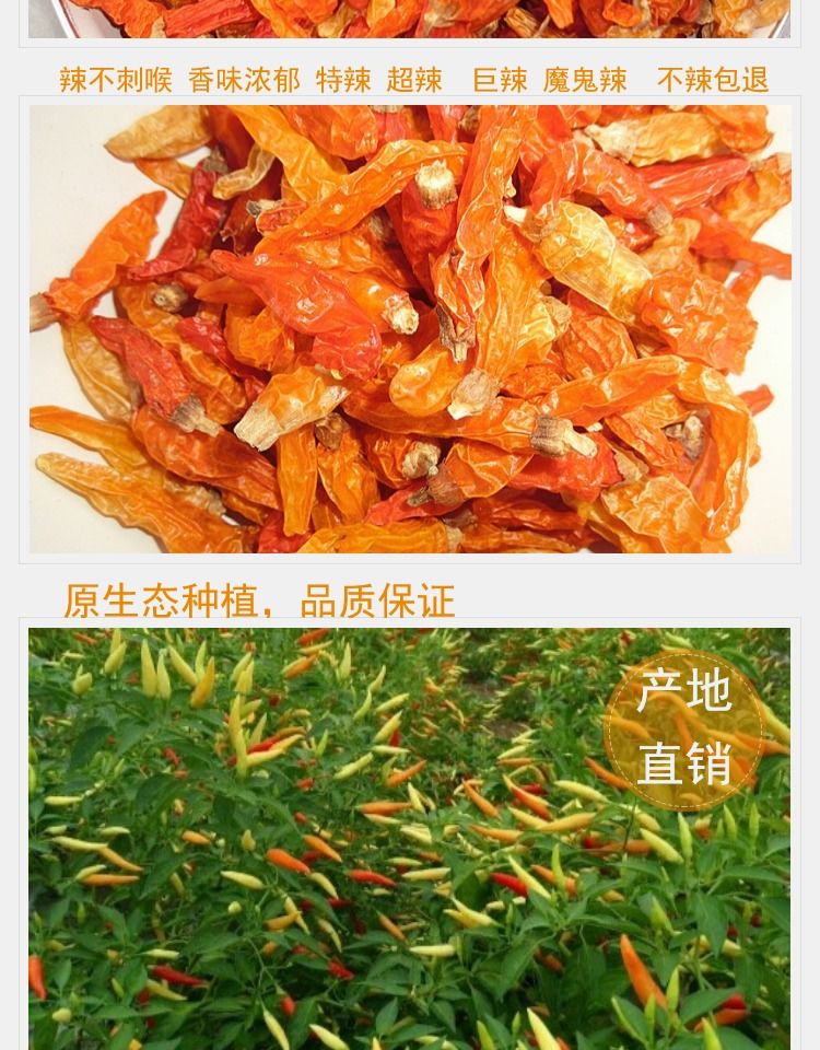 湖南超香特辣500g250g小米辣椒王黄干辣椒巨辣野山椒农产品辣椒王整只