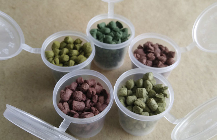 七彩蚕养蚕宠物饲料彩蚕食物养彩色蚕宝宝新鲜桑叶红黄蓝紫白红色饲料