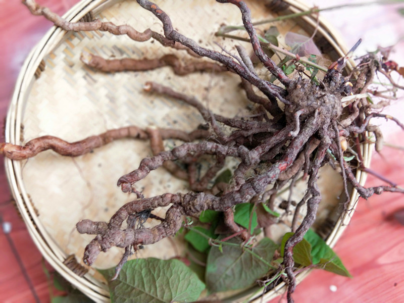 贵州特产野生干货毛血藤500g 新鲜中草药胖血藤飞蛾藤白花藤【图片