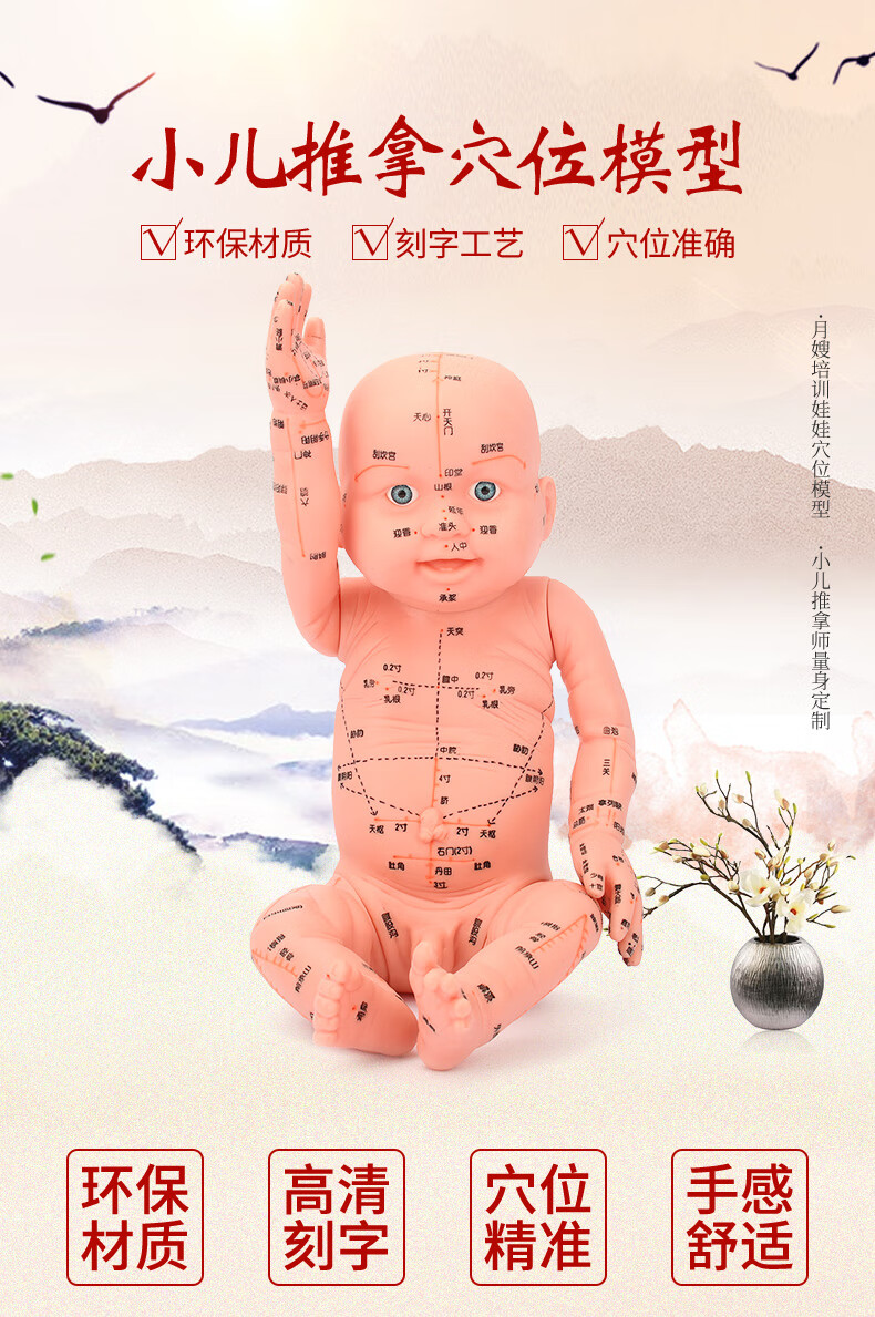 小儿推拿全软胶模型月嫂培训带穴位按摩教学人体经络