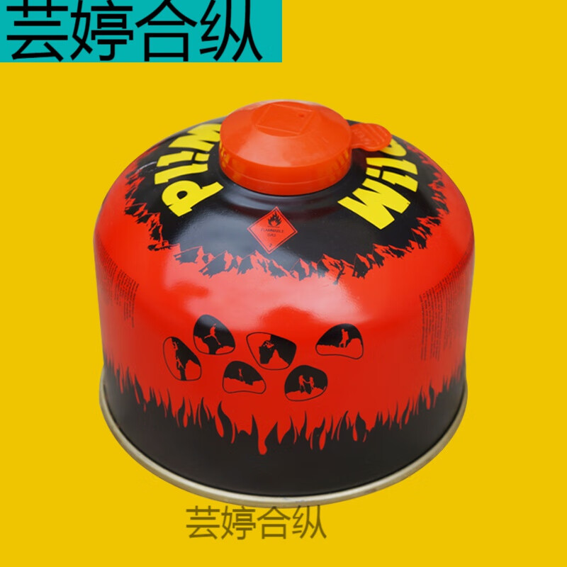 丁烷气罐野营户外扁气罐便携式高山野外炉具瓦斯罐丁烷g2防爆炉头燃气