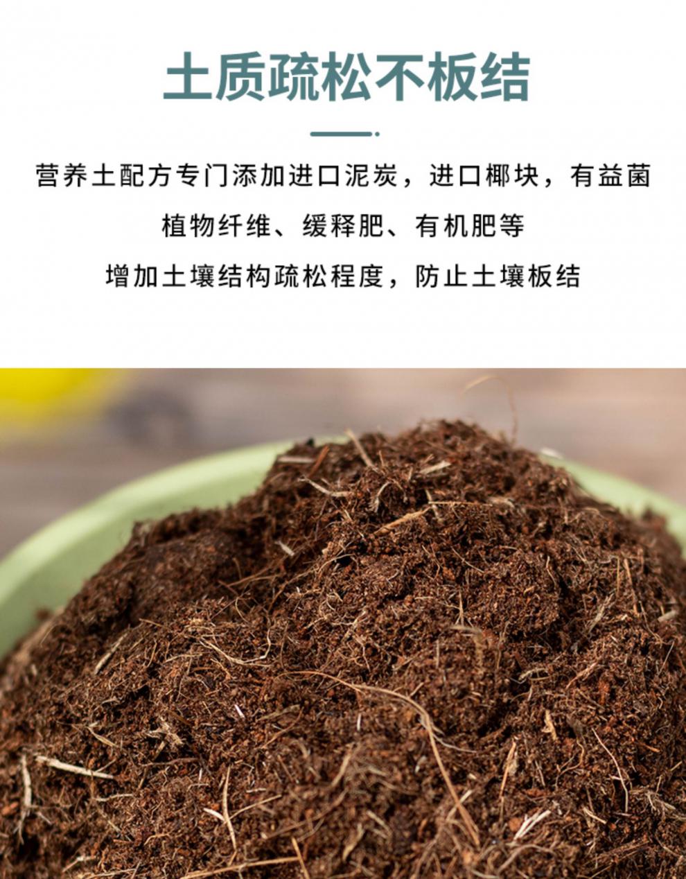 铁线莲专用土月季栽培基质配方土绣球铁线莲专用营养土通用椰糠羊粪有