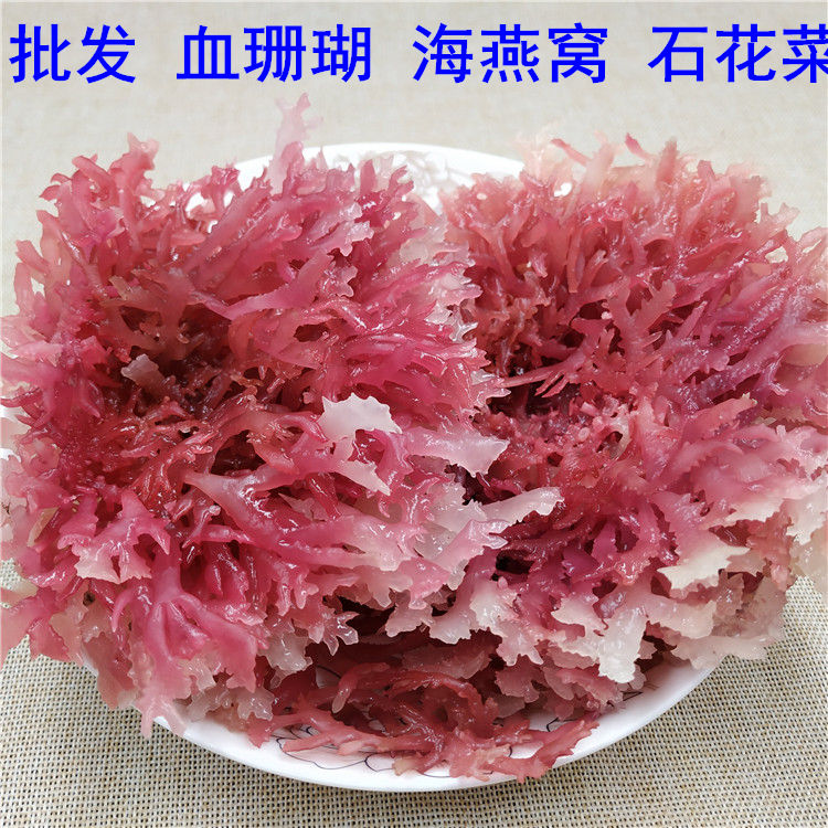 石花菜500g一级红石花菜麒麟菜血草海燕窝海石花膏海凉粉海冻菜干货