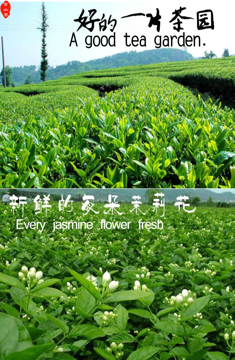 野栋2021年新茶9窨浓香茉莉花茶叶茶王白毫银针王500克花茶烘青绿茶