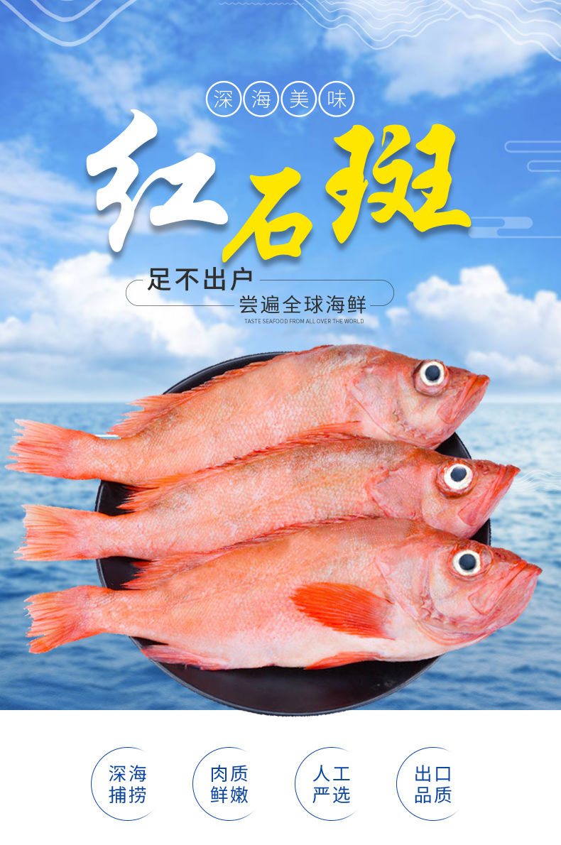 红石斑鱼10斤整条鲜活速冻深海大眼鱼富贵鱼大龙胆鱼海鲜水产5斤装