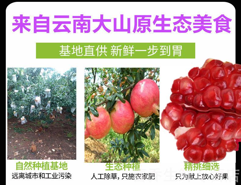 【果园直发】 云南蒙自建水酸石榴 水果新鲜 2-10斤 云南蒙自建水纯酸