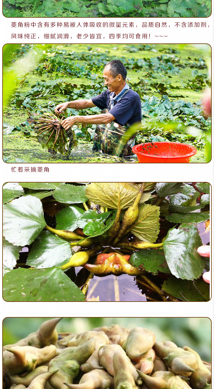 花初醒亏本卖3天现磨农家生菱角粉纯粉凌角糊梭角粉生菱粉代餐食用500