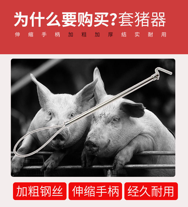 幻翎捉猪神器套狗套猪器猪用保定器抓猪工具猪套子养殖场设备猪套嘴器