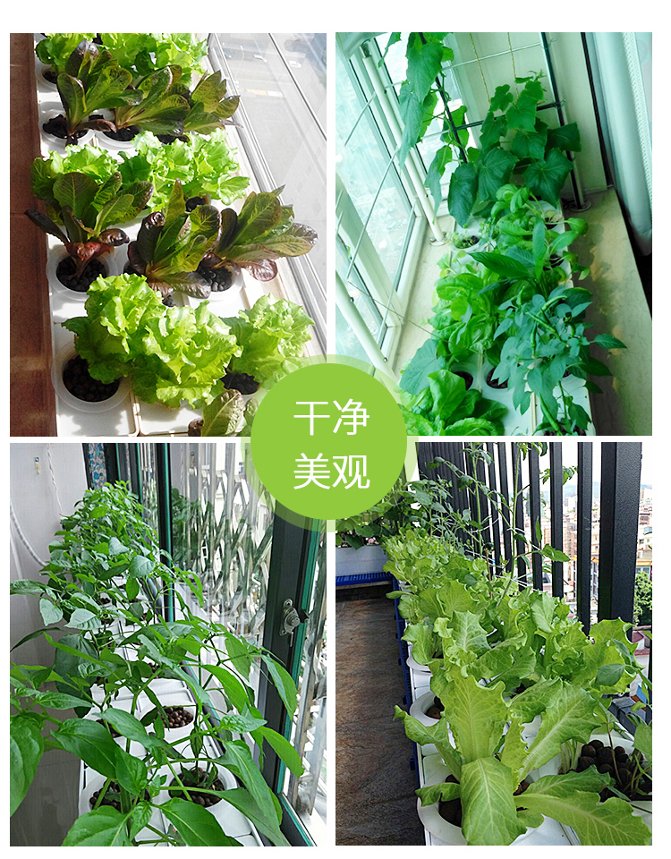 定制定制阳台种菜水培设备长方形种菜盆 家庭菜园无土栽培种植箱 补充