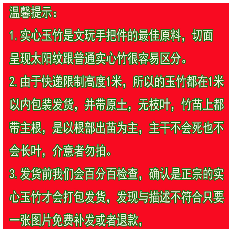 实心竹苗种苗文玩玉竹苗庭院竹子苗四季长青竹苗观赏盆景竹苗d5实心竹