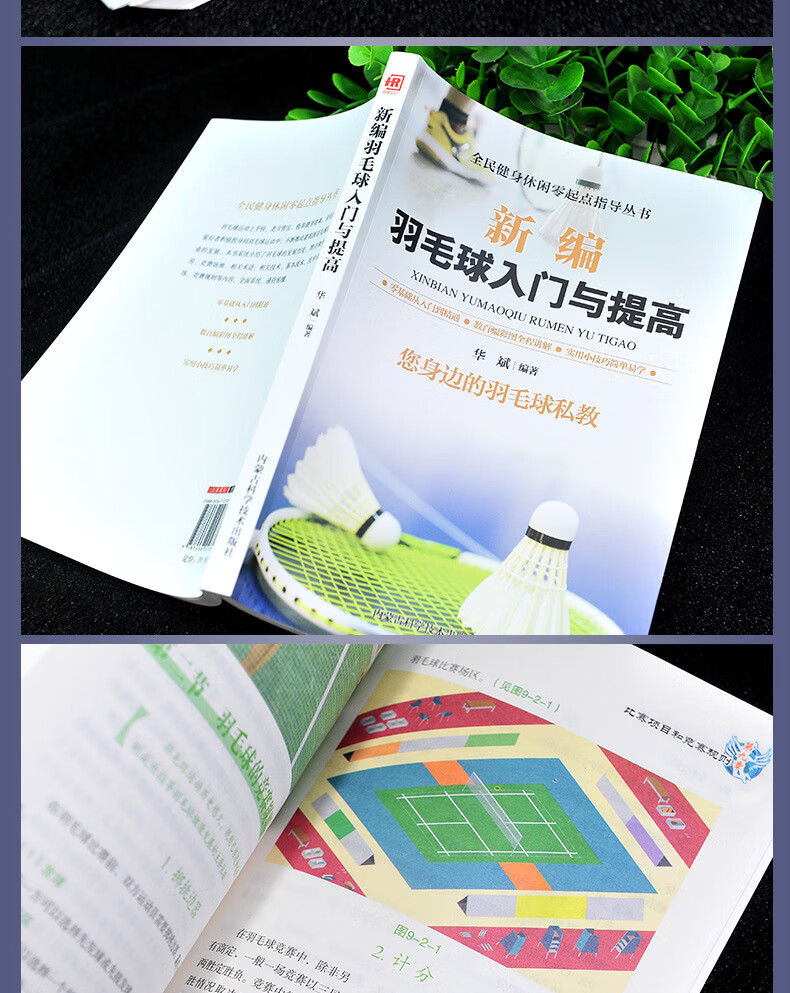 新编篮球足球羽毛球乒乓球网球排球入门与提高全6册零基础从入门