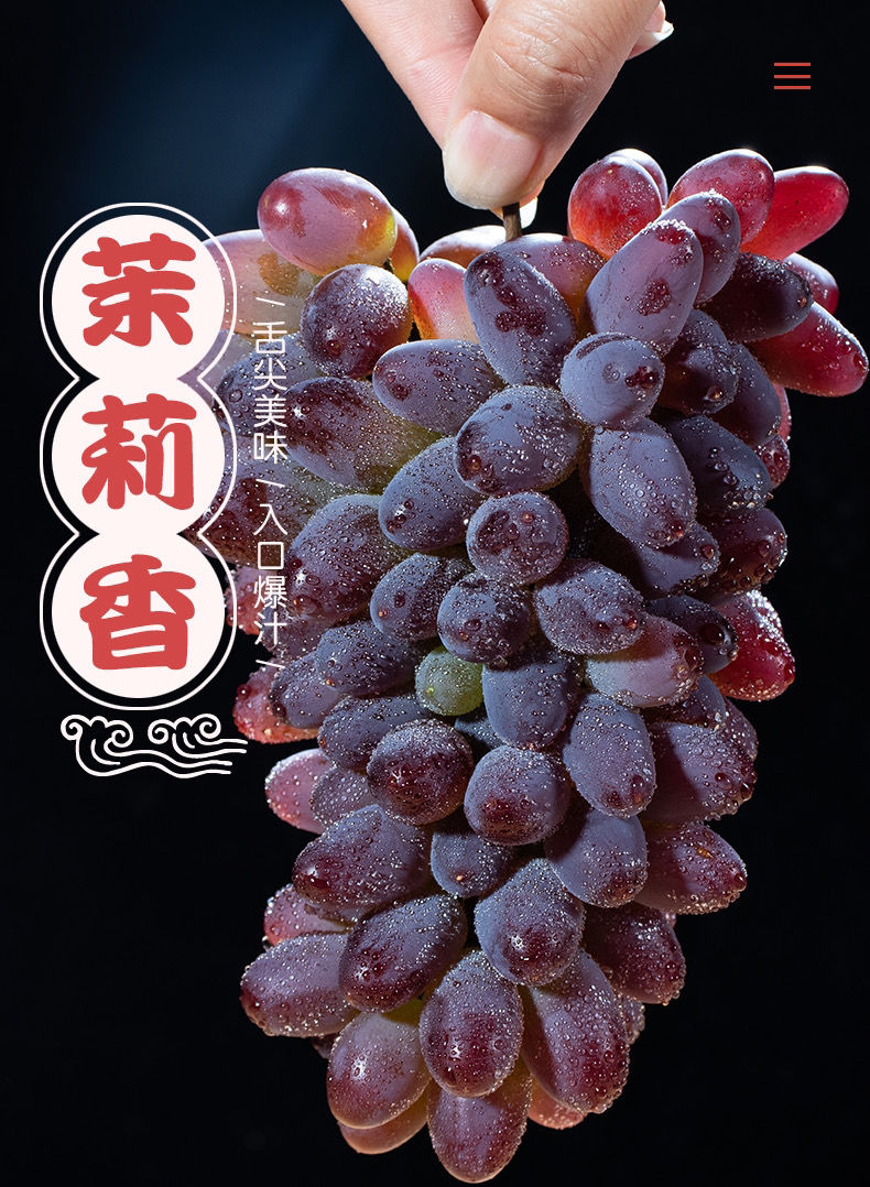 春光岛顺丰茉莉香葡萄郁金香现摘新鲜薄皮无籽提2斤泡沫箱