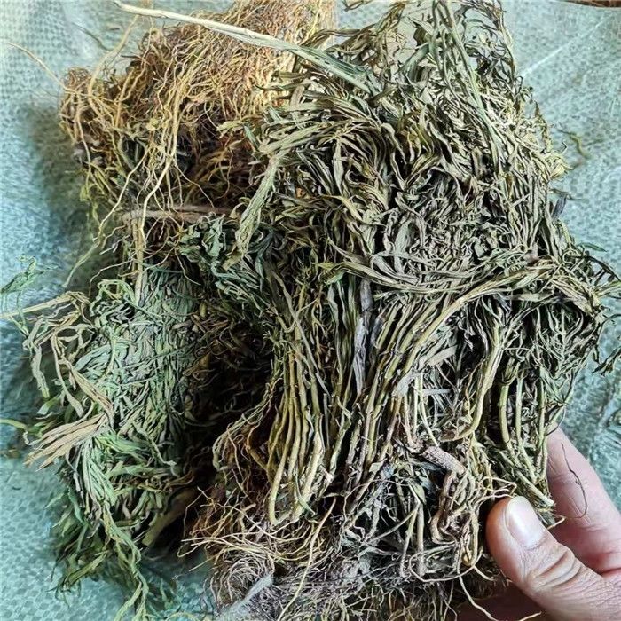 凯史甘斯水灵芝水黄连鱼胆草青鱼胆草100克起冷背中草250克