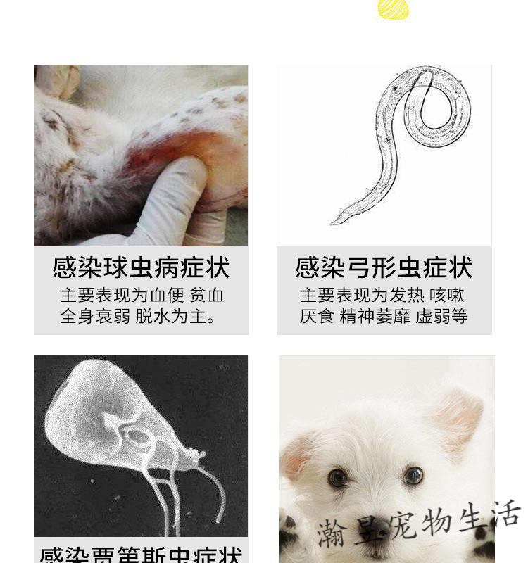 宠诺球肠乐驱球止痢合剂宠物犬猫球虫弓形虫驱虫药球肠乐球肠乐10ml10