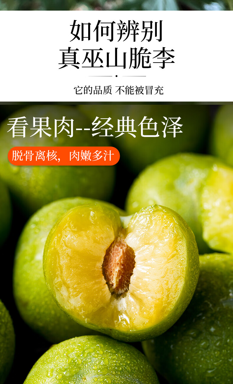 顺丰空运官方授权正宗重庆巫山脆李脱骨李子5斤新鲜水果当季整箱孕妇