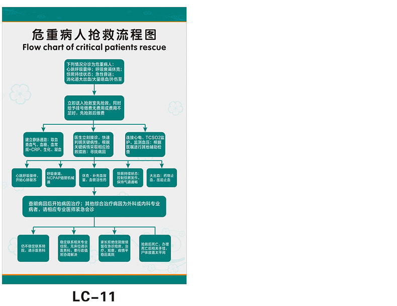 医院急救步骤挂图过敏性休克反应抢救流程图医院诊所急诊急性病症处理