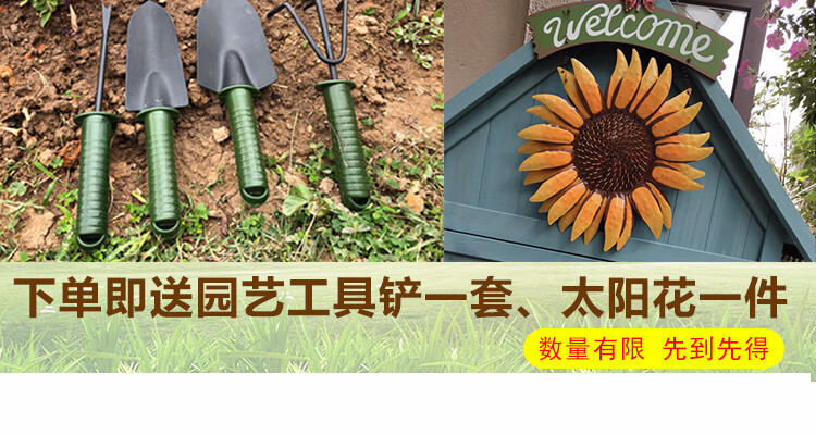 户外工具房花园杂物房防雨木柜户外柜子储物柜室外露天防水防晒杂物阳台花园庭院工具实木收纳柜 青绿色 A款 预售