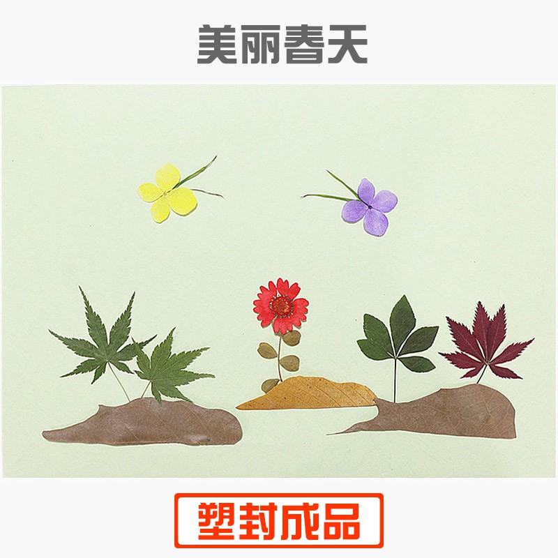 春天来了【塑封成品】商品名称:树叶贴画手工材料树叶贴画真植物标本