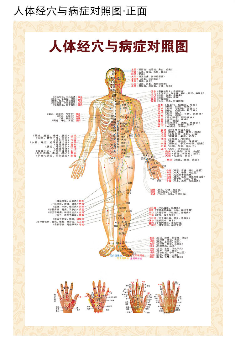 人体穴位对症挂图人体穴位图真人大挂图中医病症对照画全身挂画高清