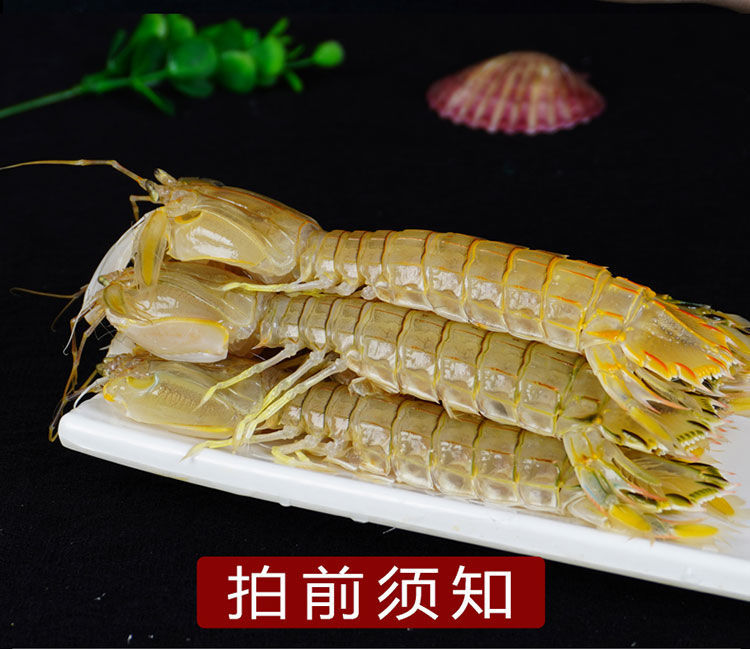 海鲜皮皮虾鲜活熟冻全母特大虾姑超大虾爬鲜活濑尿虾超肥批发大号公肉