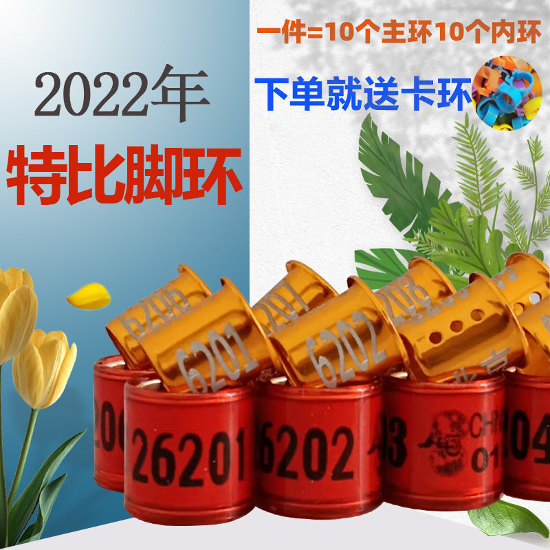 信鸽脚环2022年不带证统一环特比环中环鸽子足环赛鸽子环用品用具青海