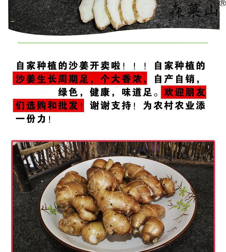 新鲜沙姜正宗广东茂名特产沙姜山奈白切鸡调味配料老生姜1斤