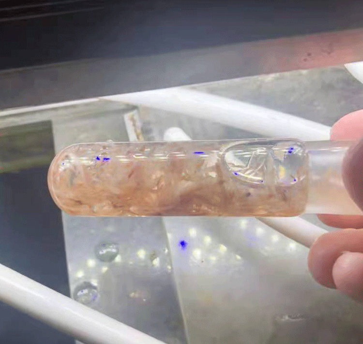 水蛭诱捕器涡虫诱捕器水族箱玻璃蜗虫捕捉器鱼缸涡虫笔吸水蛭蚂蝗捕