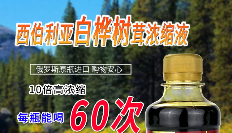 俄罗斯白桦茸萃取液桦树茸口服液桦褐孔菌提取浓缩液250g330毫升桦树