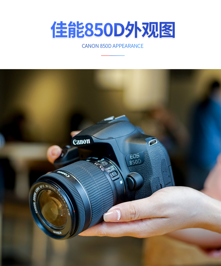 佳能canon佳能eos800d1855入门级单反学生款照相机女4k高清数码旅游