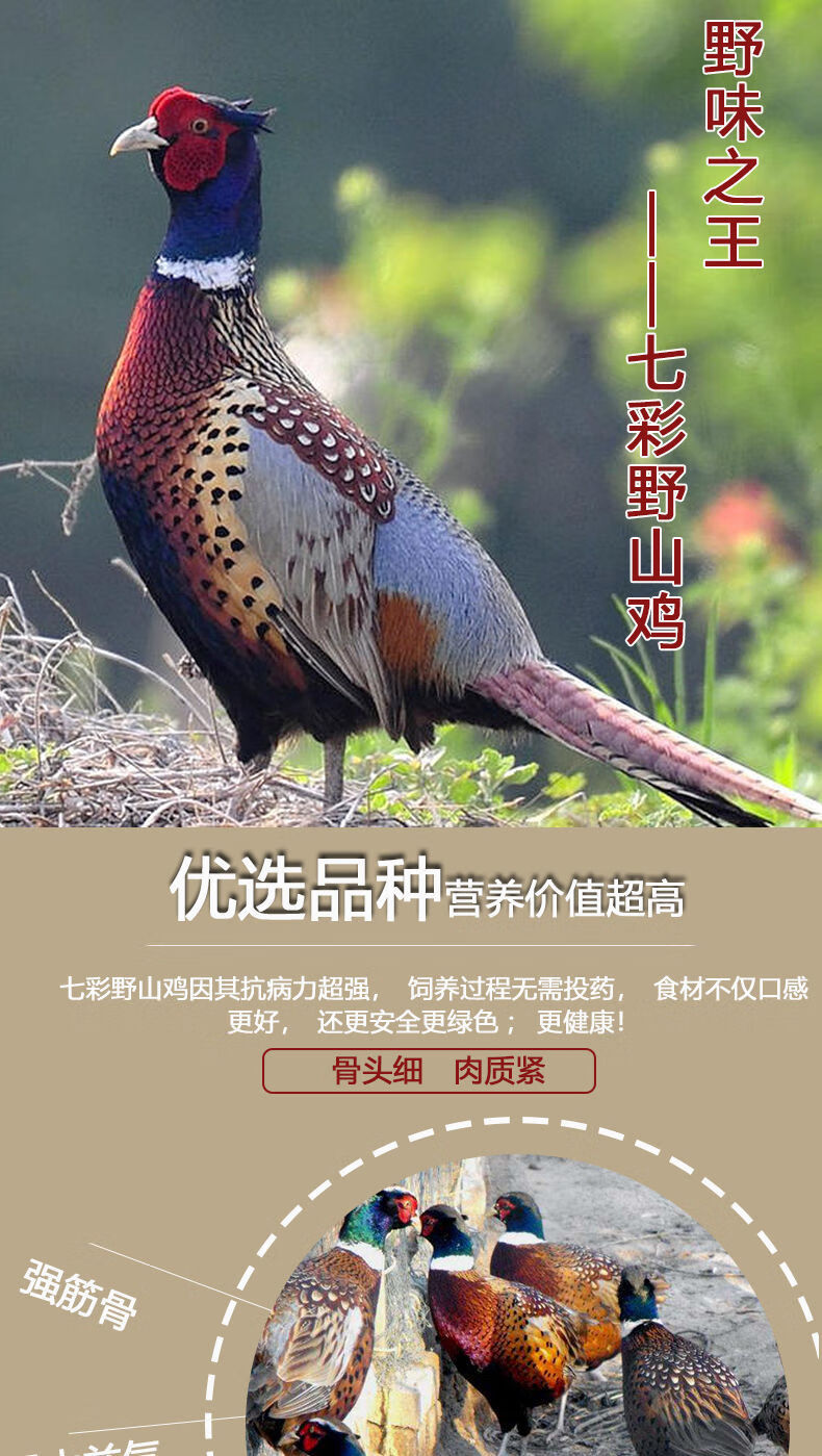棠鲜生七彩山鸡农家山鸡白条鸡现杀鲜冻发货老母鸡公鸡月子鸡1只母