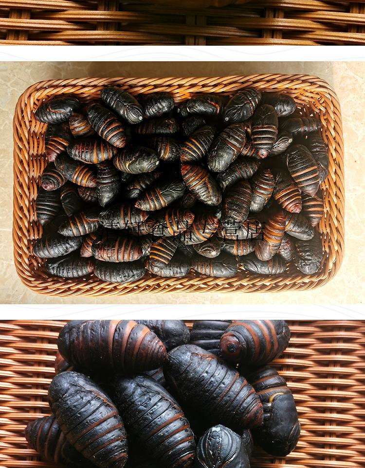 茧蛹东北500g东北特产新鲜柞蚕蛹黑蛹活体大茧蛹a级蝉蛹1斤