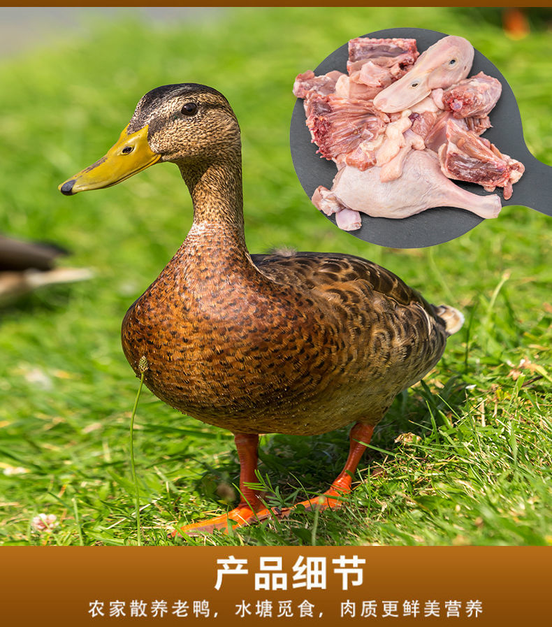 更多参数>饲养方式:散养类别:其他品种:麻鸭货号:pfxbzya2商品产地