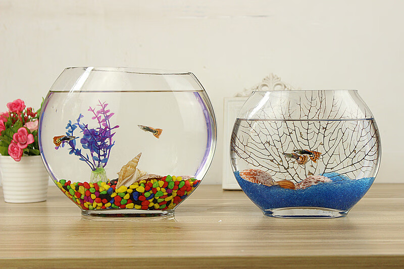 创意扁口玻璃鱼缸椭圆形白透明玻璃金鱼缸迷你水族箱小型桌面25扁鱼