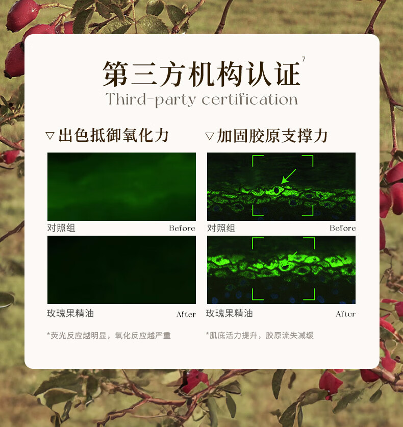 EXPRESSIONS新加坡进口玫瑰面部精油提拉紧致淡细纹保湿抗皱精华液提亮肤色