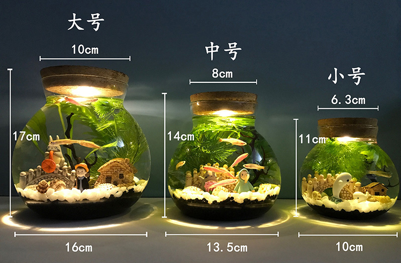 办公室桌面创意鱼缸小鱼迷你景观 生态瓶微景观水族箱造景斗鱼缸创意