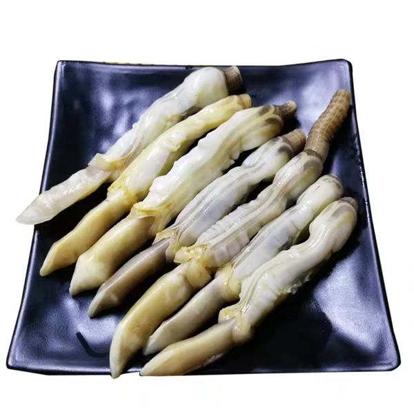 新鲜蛏王肉蛏子肉鲜活速冻大蛏子肉竹节蛏肉大个饱满无冰衣5斤装