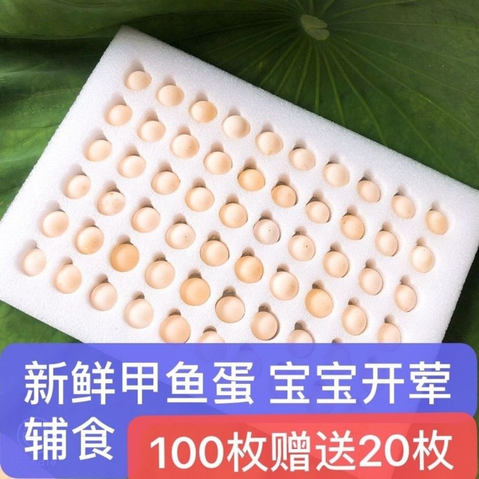 甲鱼蛋农家新鲜食用老人营养美味团鱼蛋王八蛋老鳖蛋腾旺纳跃甲鱼蛋买