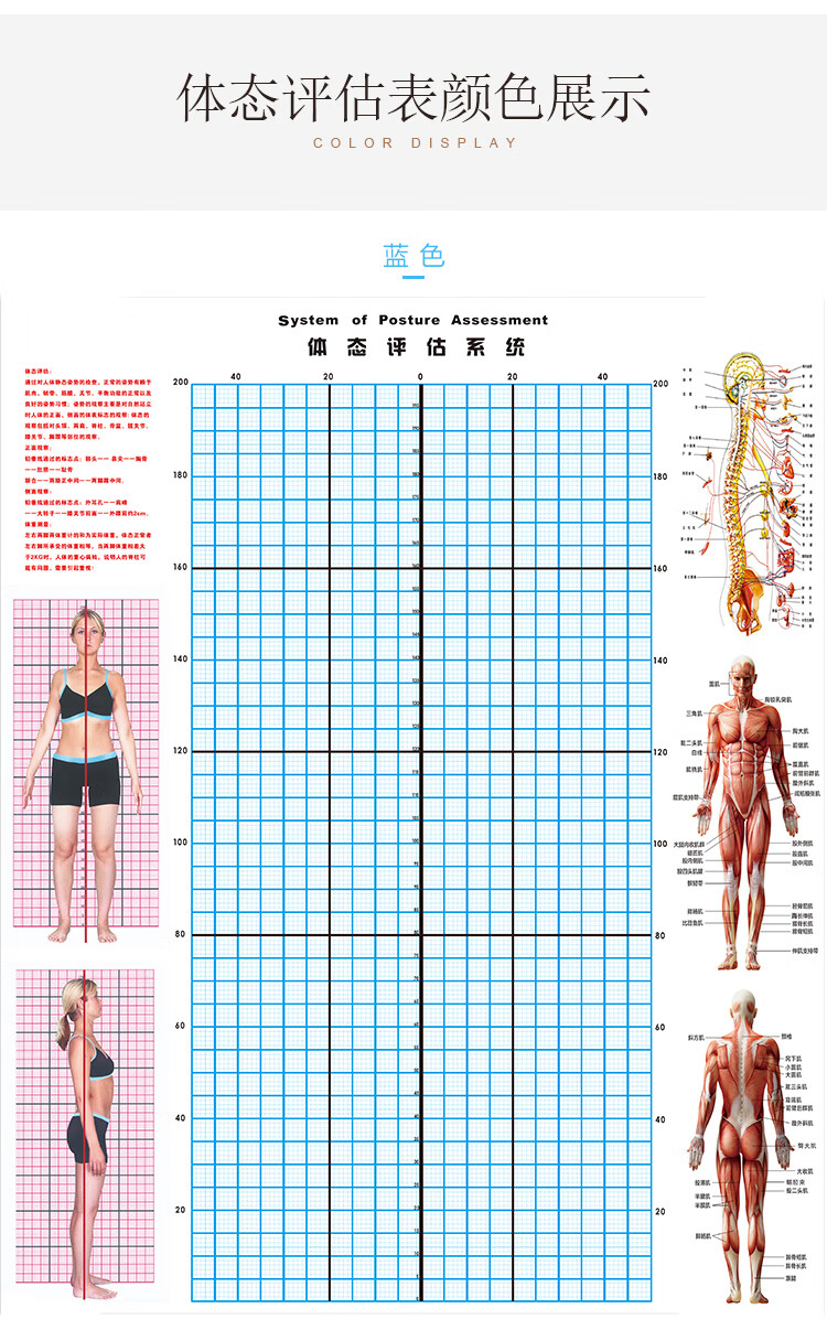 体态评估表 健身房人体站姿评估图瑜伽体姿势站姿评测