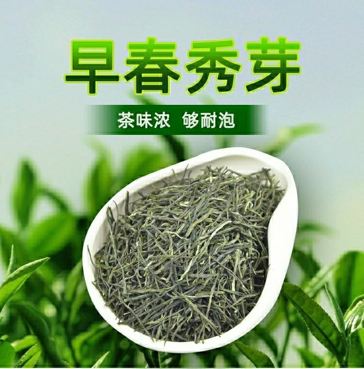 永川茶叶秀芽绿茶2022新茶绿茶毛尖茶重庆特产浓香耐泡散装批发250g