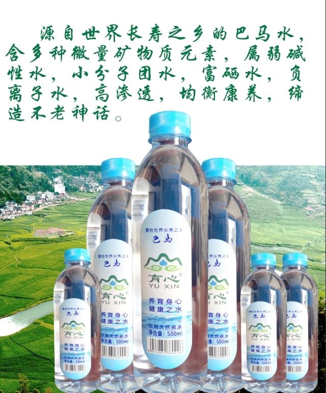 钯玛寿山泉500ml6瓶整箱巴马水长寿村弱碱性自涌泉含硒含小分子口感