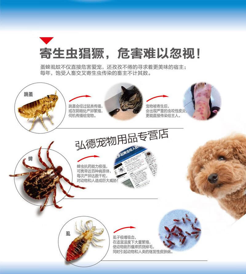 埃尔金早立安ez犬用滴剂犬外驱虫滴剂狗狗外驱虫虱子跳蚤全犬用滴剂22
