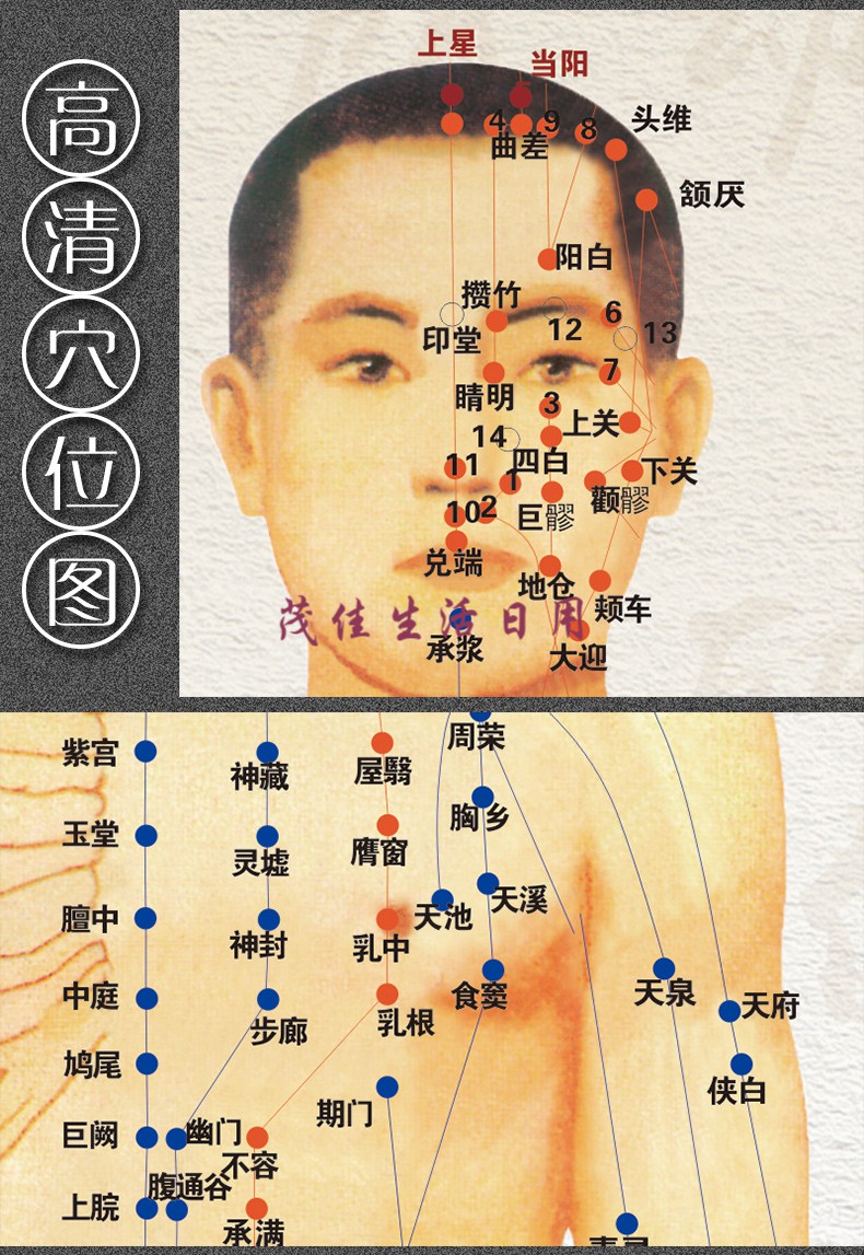 中医 装饰画 人体 十二经络图穴位 按摩 装饰 挂画 中医养生馆 全身