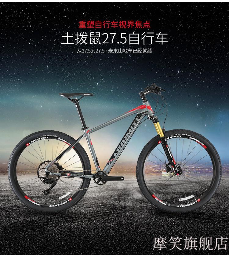 2022款自行车山地自行车全世界十大碳纤维自行车品牌排行榜山地车单车