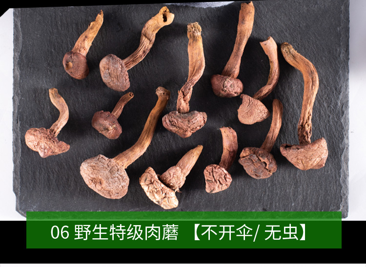 河北承德野生肉蘑山珍菌菇礼盒装干货土特产组合礼600g