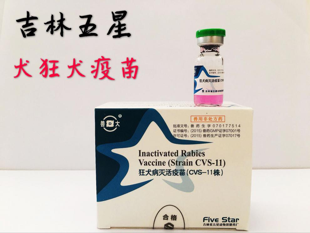 吉林五星国产犬疫苗狂犬病灭活疫苗cvs1株狂犬疫苗单瓶价兽用1瓶价