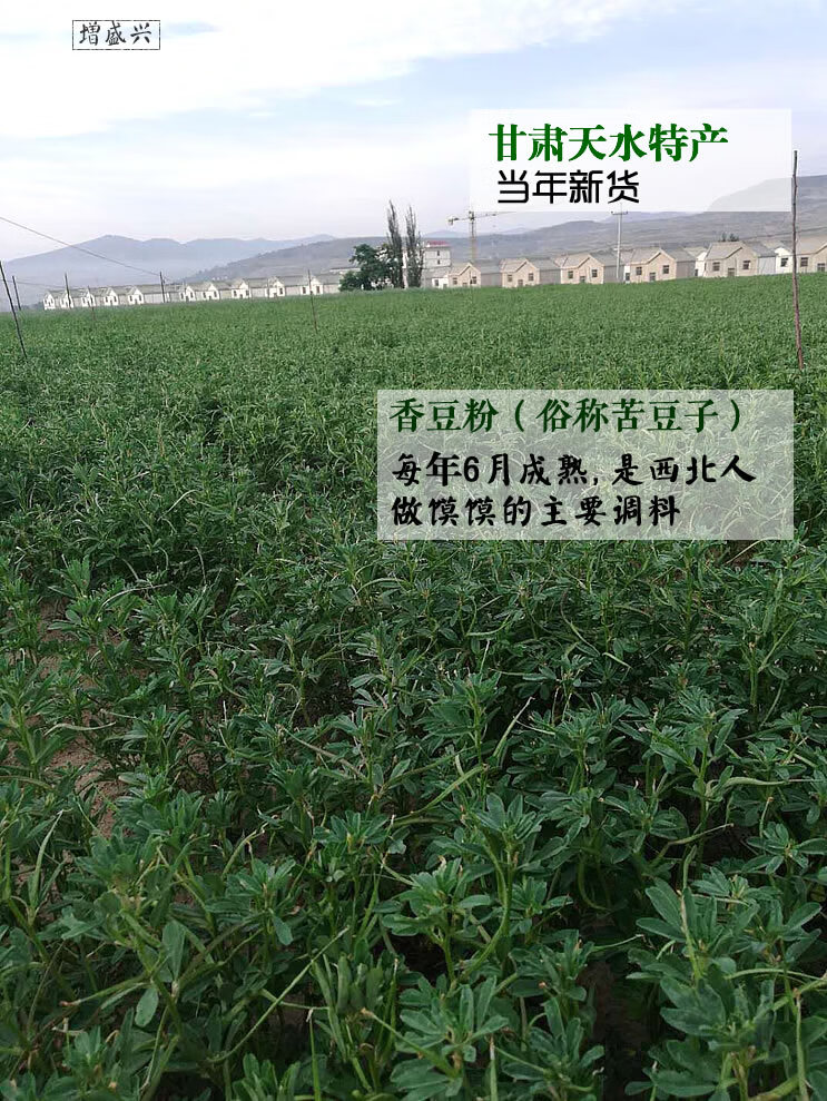 甘肃特产苦豆粉香豆粉天然植物食用做馍馍花卷调料250克益补萃